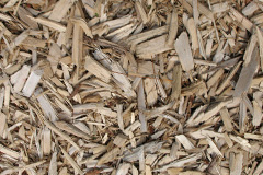 biomass boilers Anmer